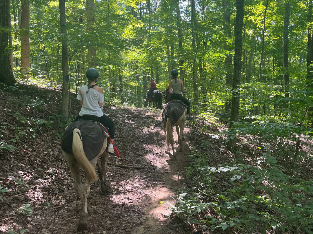 Uncle Buck's Riding Stable-New Marshfield必去景点