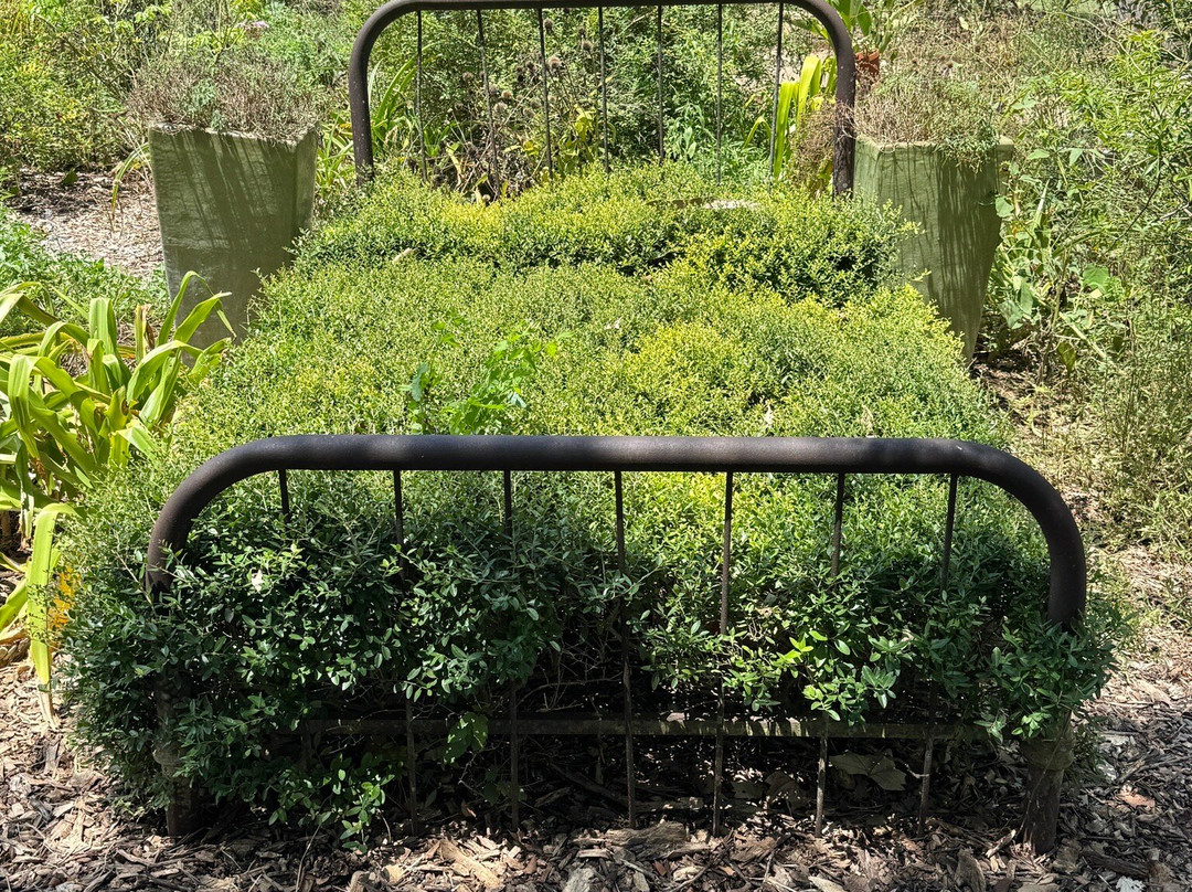 Antique Rose Emporium-Independence必去景点