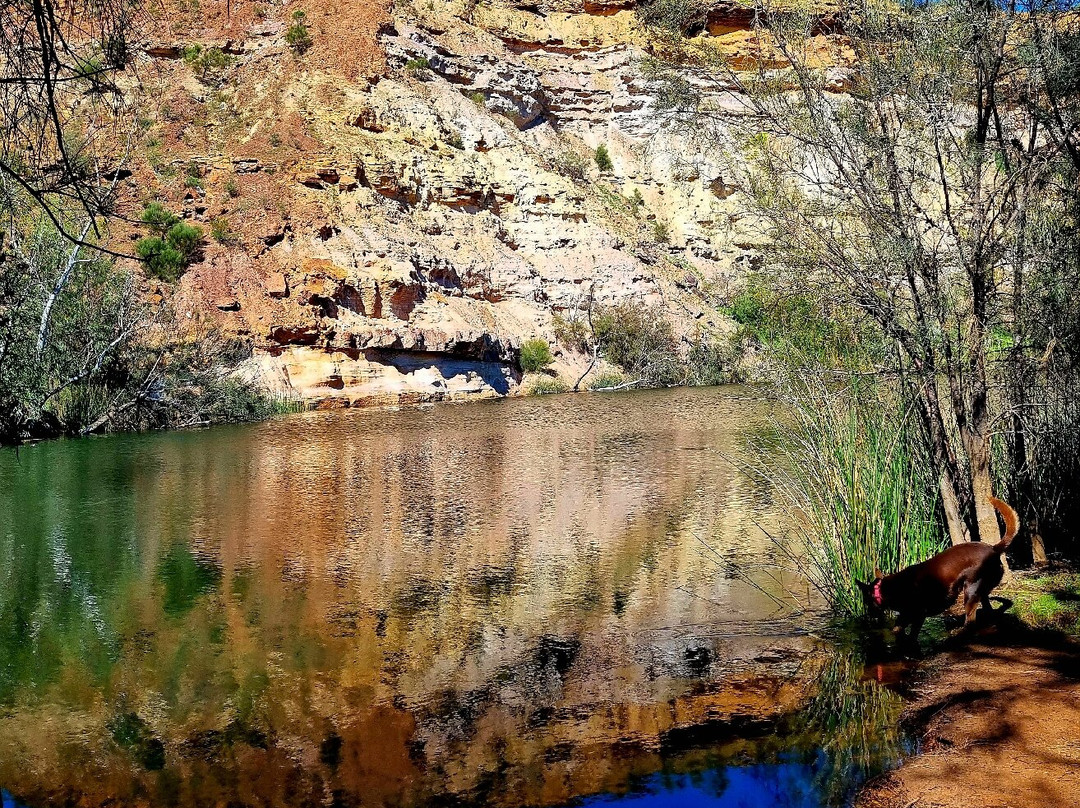 Ellendale Pool-Greenough必去景点