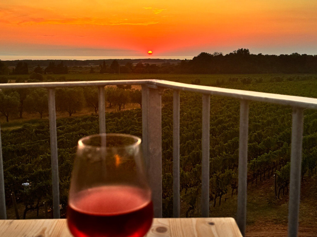 Lq - Le Querce - Wine Tasting-Campiglia Marittima必去景点