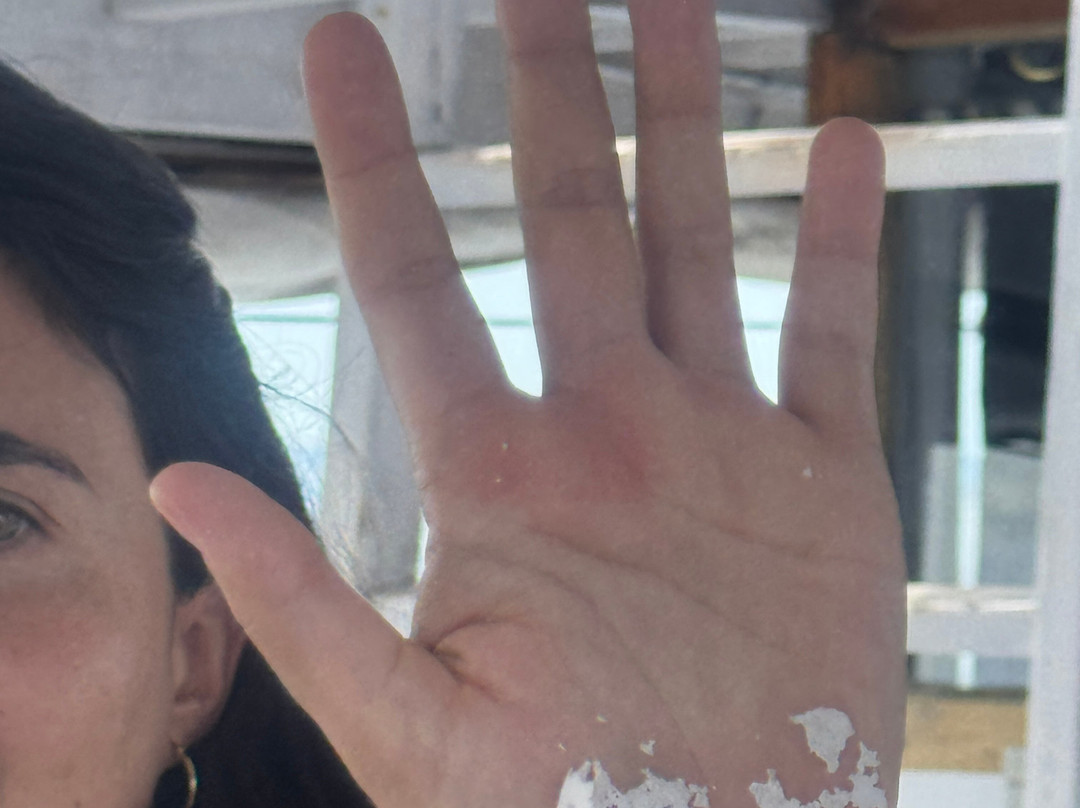 Big Komodo Tour-Labuan Bajo必去景点