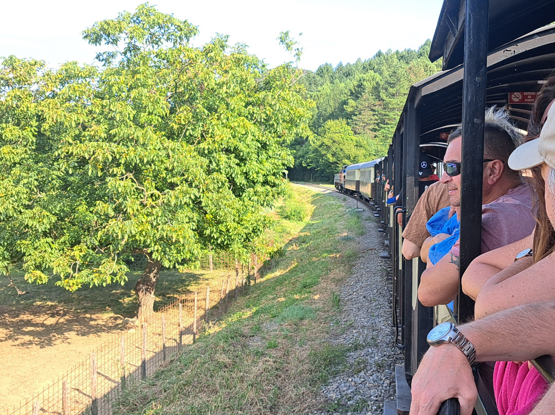 Train à Vapeur des Cévennes-Anduze必去景点