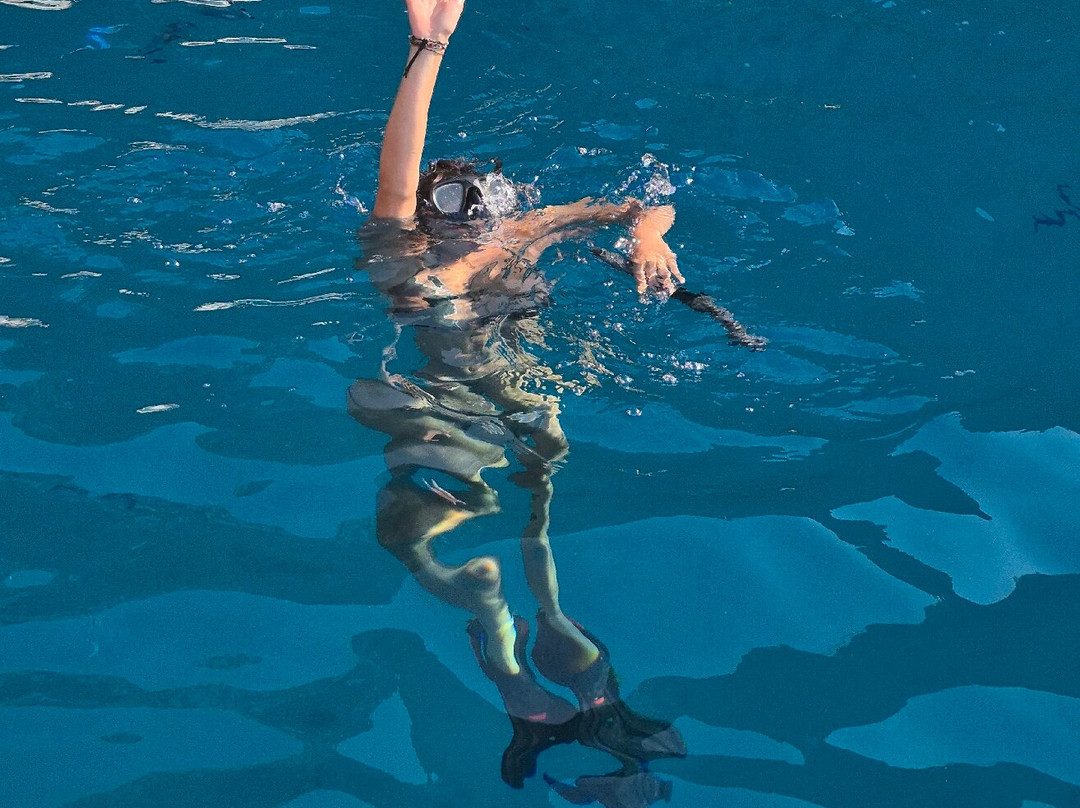 Octopus Mallorca-索列尔港必去景点