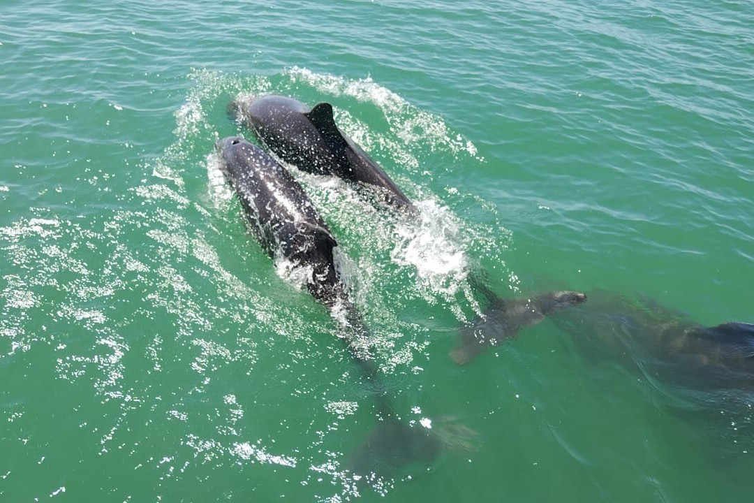 Ballena Aventura-鲸城必去景点