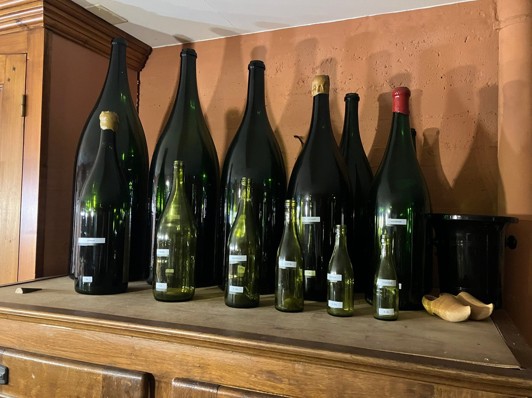 Auberge Les Hauts De Chenas主图