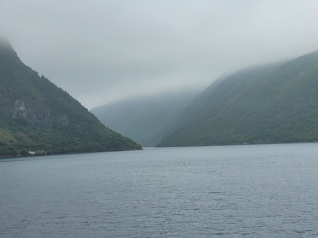 Ramea - Grey River - Burgeo Ferry-Ramea必去景点