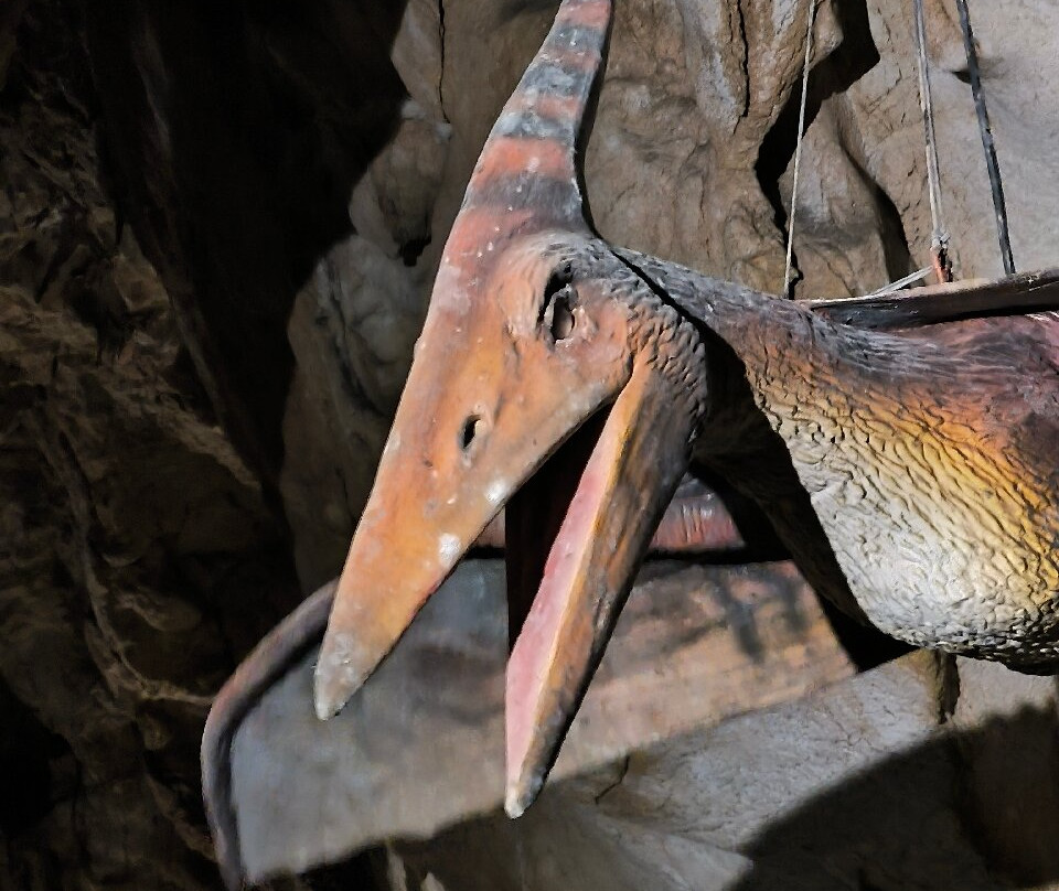 Dinopedia Expérience-Villefranche-de-Conflent必去景点