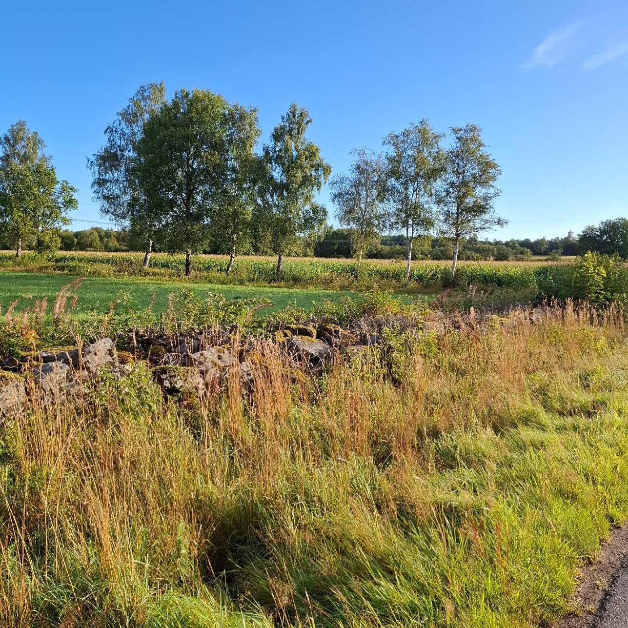 Villa Gransholm Hotel-官方