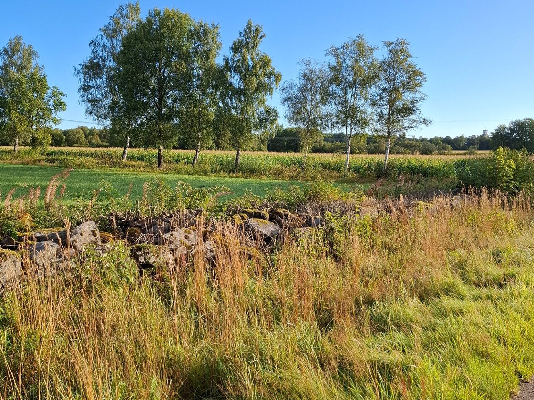 Villa Gransholm Hotel