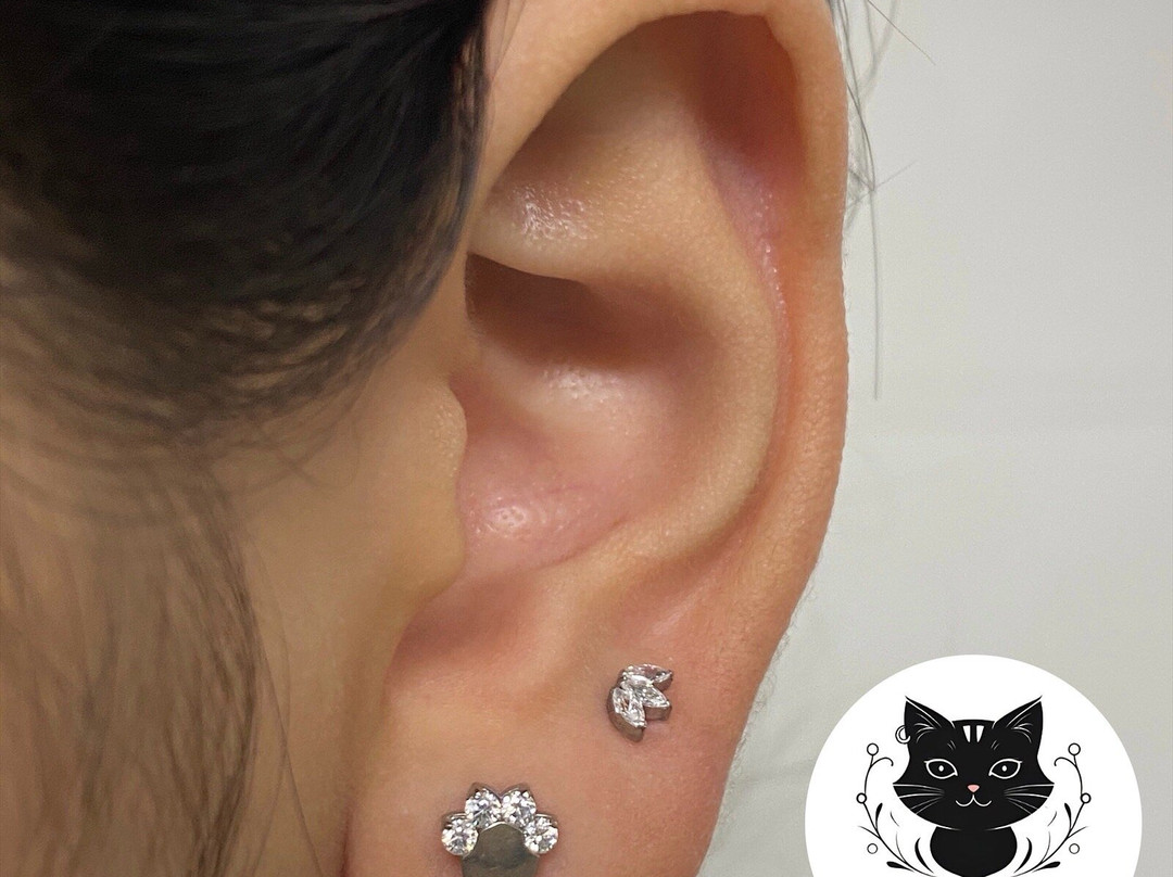 Piercing Remedy-河内必去景点