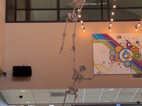 健康博物馆-休斯顿必去景点