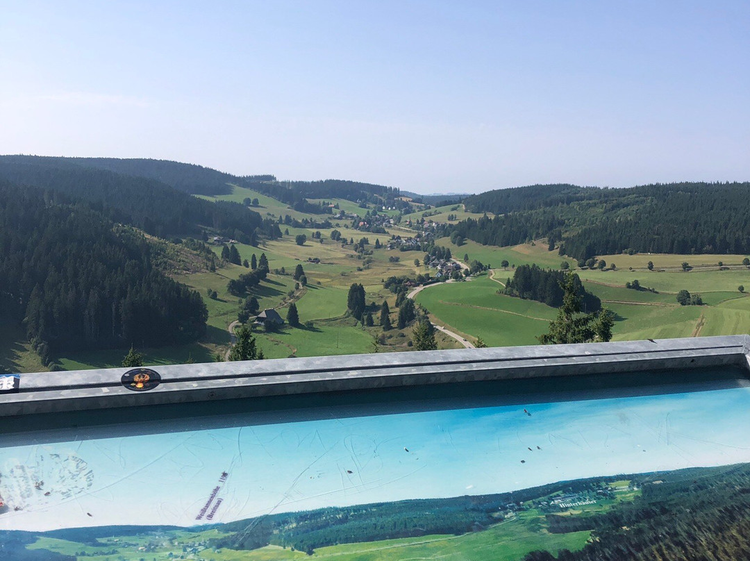 Riesenbühlturm in Schluchsee-施卢赫湖必去景点