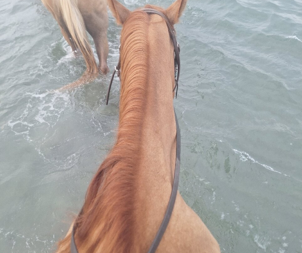 Ranch tavagna cavallu-Talasani必去景点