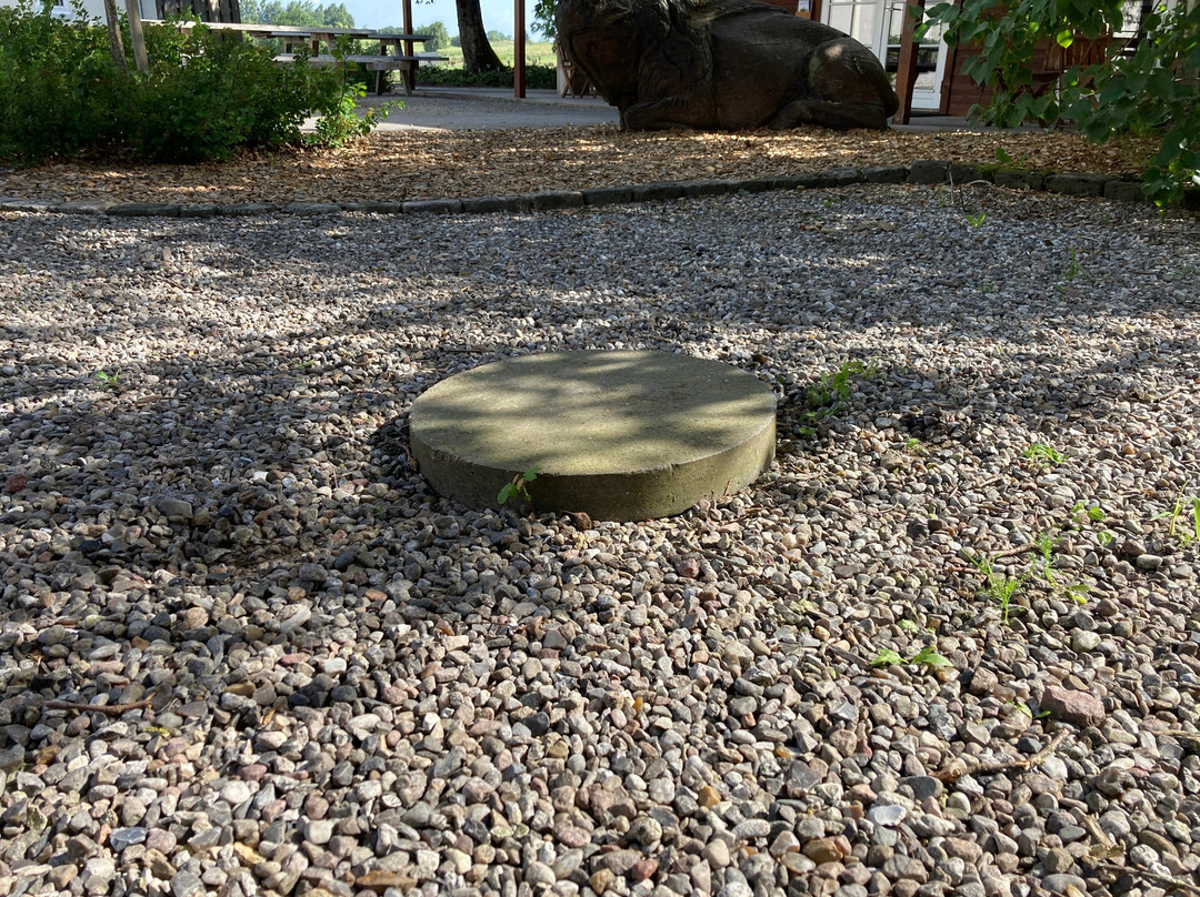 Ditlevsdal Bison Farm-Morud必去景点