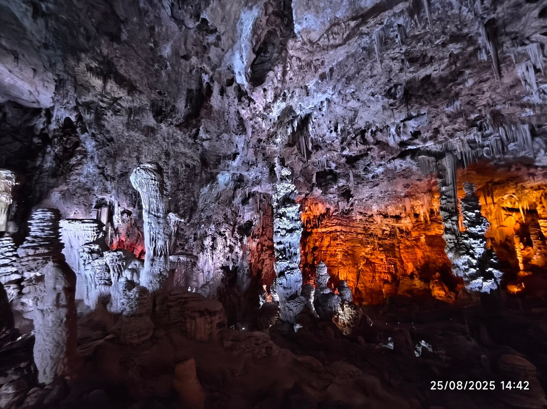 Grotte de la Salamandre-Mejannes-le-Clap必去景点