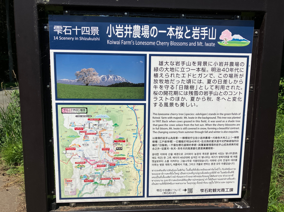 Koiwai Farm-雫石町必去景点