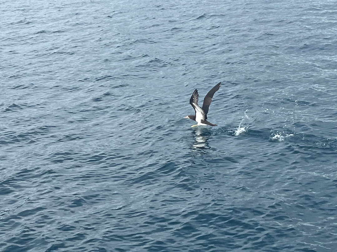 Costa Rica Unique Transfers and Tours-利比里亚必去景点