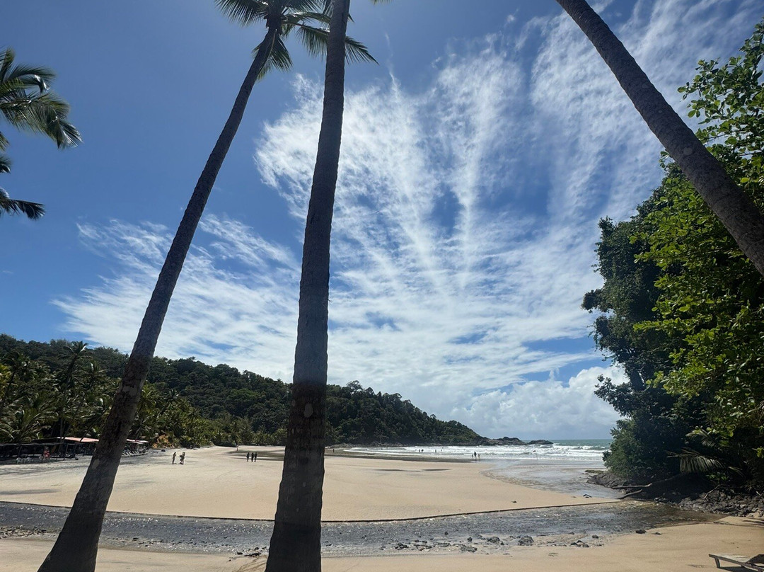 Engenhoca Beach-Itacare必去景点