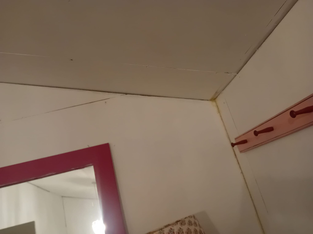 Lower Crabb Country House B&B主图