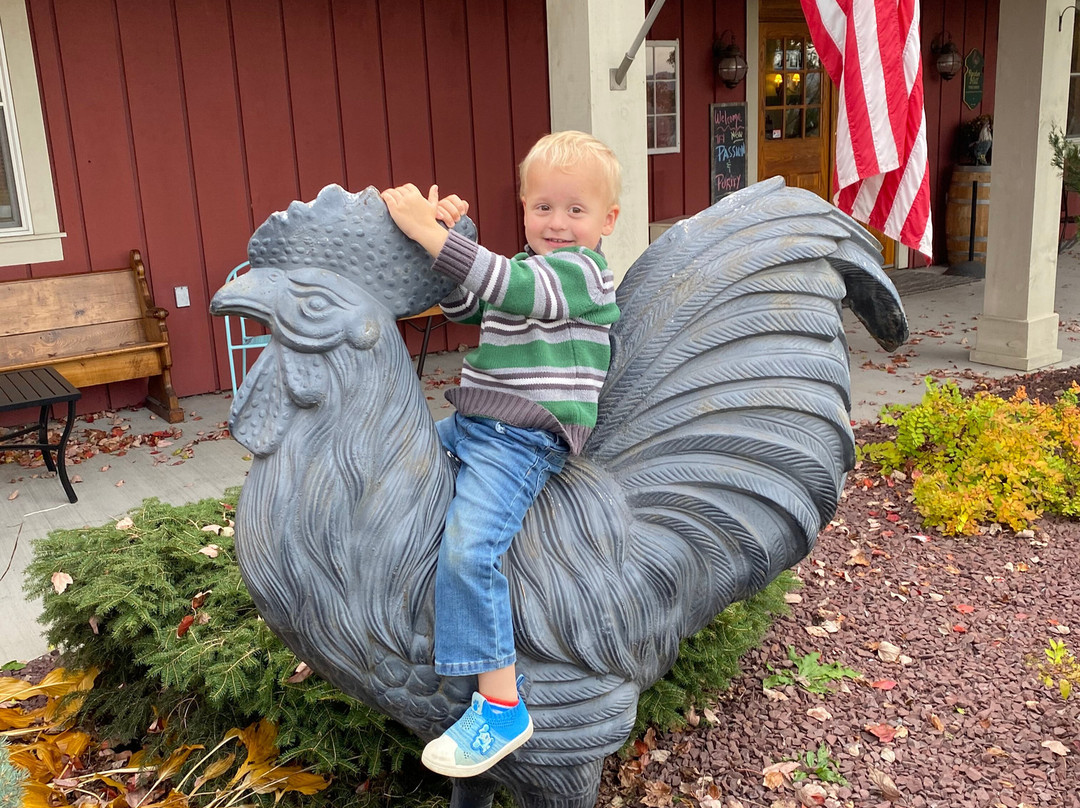 Rooster Hill Vineyards-Penn Yan必去景点