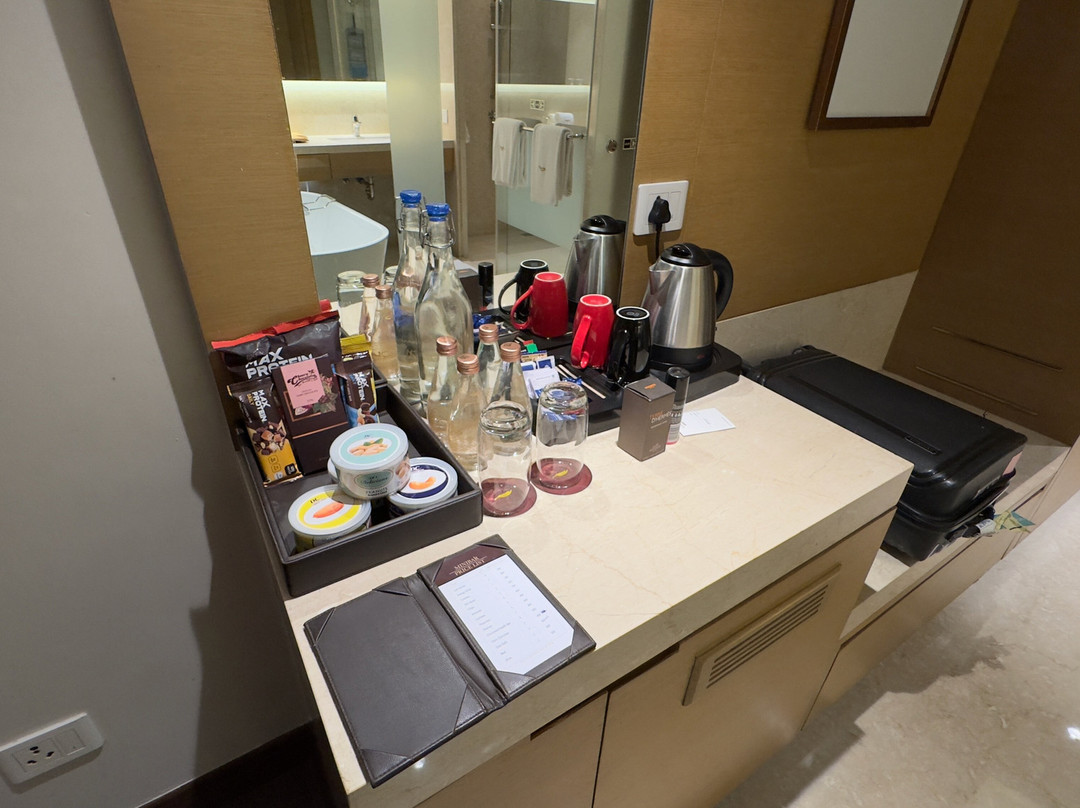 Feathers - A Radha Hotel主图