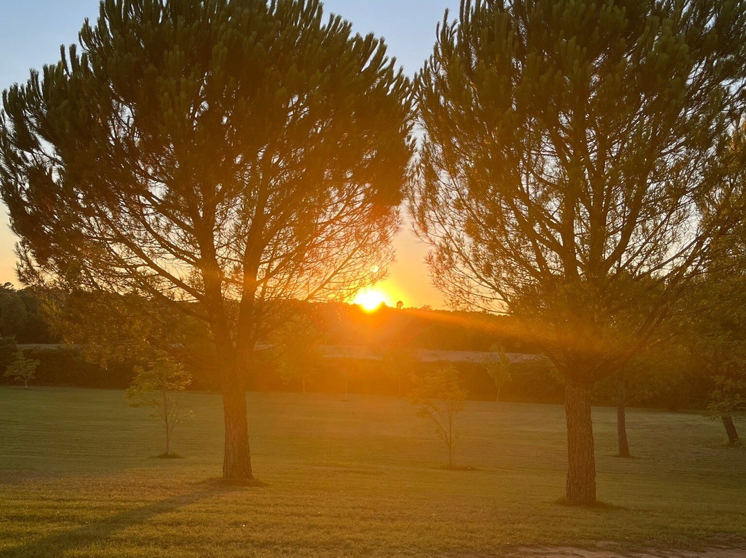 Hotel La Bastide d'Iris主图