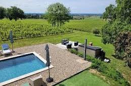 A L'Ombre De La Treille主图