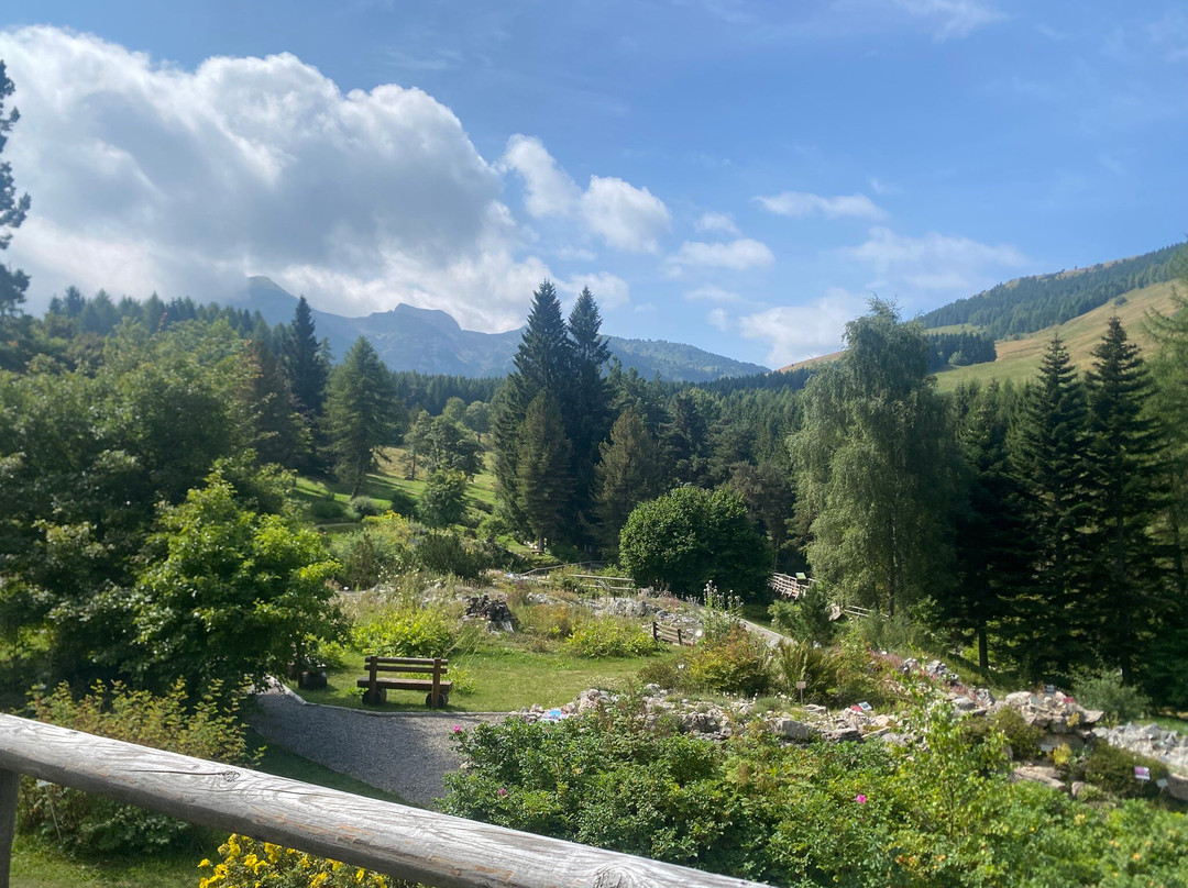 Giardino Botanico Alpino Viote di Monte Bondone-特伦托必去景点