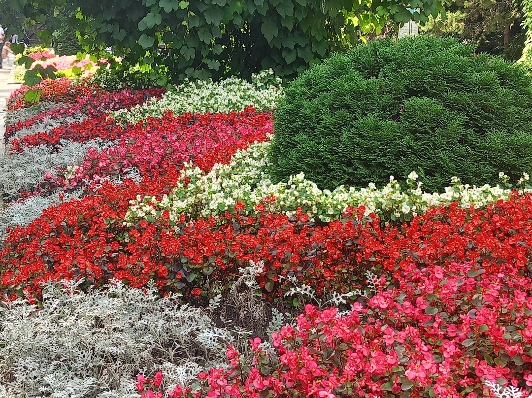 Novosibirsk Zoo-新西伯利亚必去景点