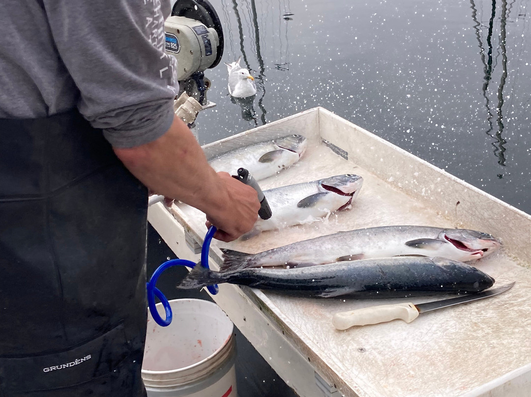 Fish Finders Private Charters-西雅图必去景点