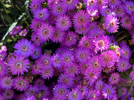 This is Cape Town-开普敦中心区必去景点