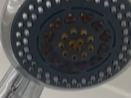 TLH Victoria Hotel主图