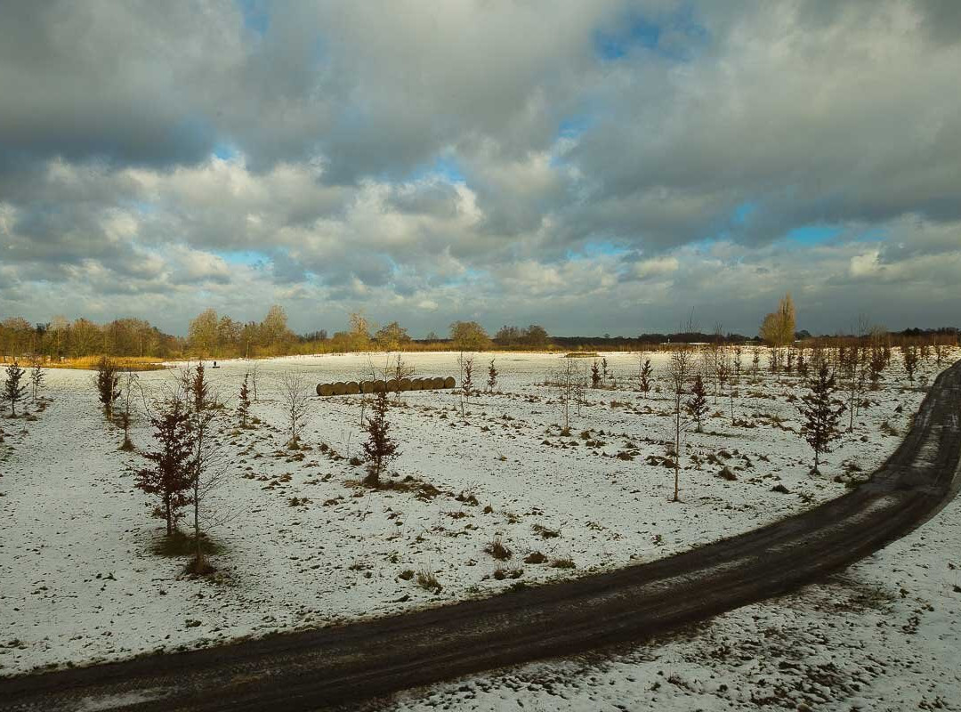 Clandon Wood-East Clandon必去景点