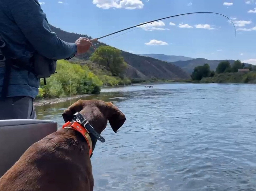 Trout Trickers-韦尔必去景点