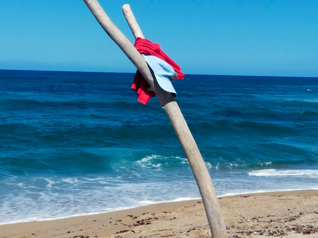 Spiaggia Li Junchi - Badesi-Badesi必去景点