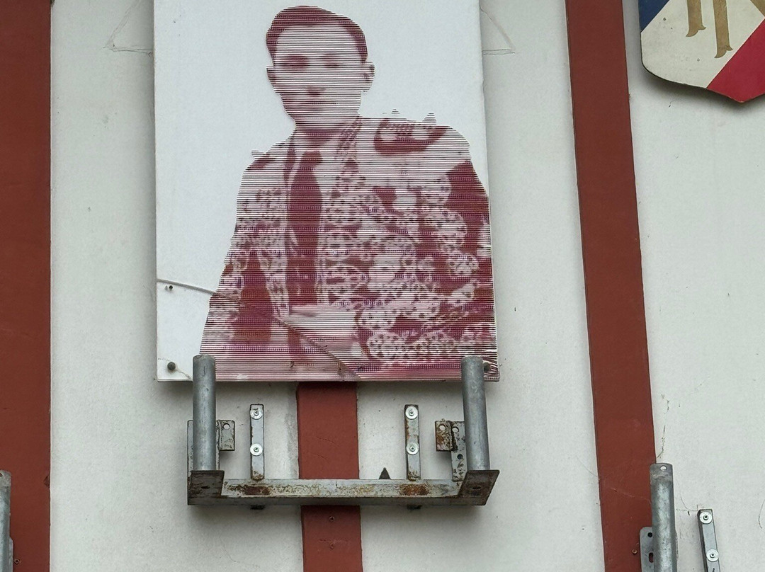 Arènes De Rion Des Landes-Rion-des-Landes必去景点