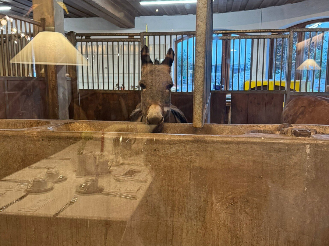 Hotel Restauran Hauserwirt主图