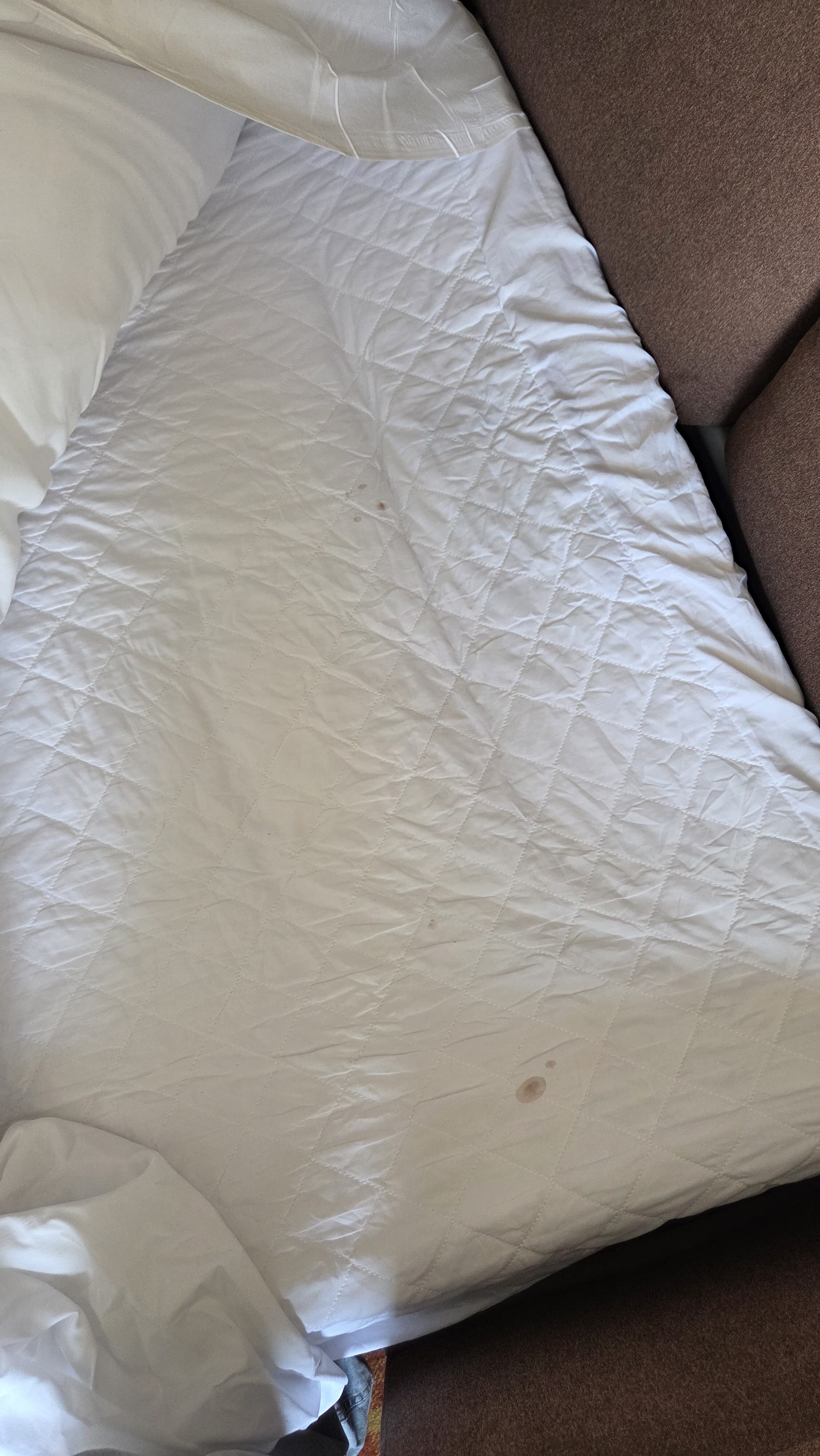 Apollo Hotel Basingstoke-官方