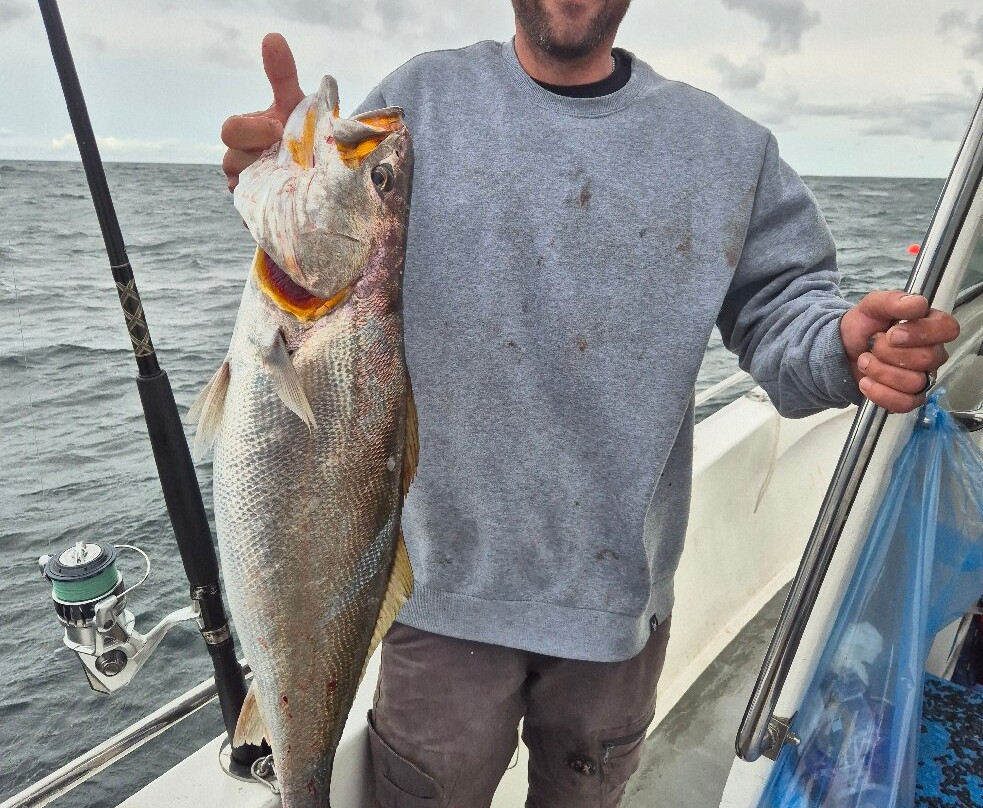 Delarey Charters-圣法兰西斯港必去景点