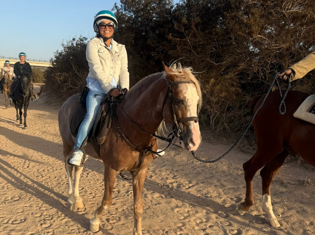 Zouina Cheval-索维拉必去景点