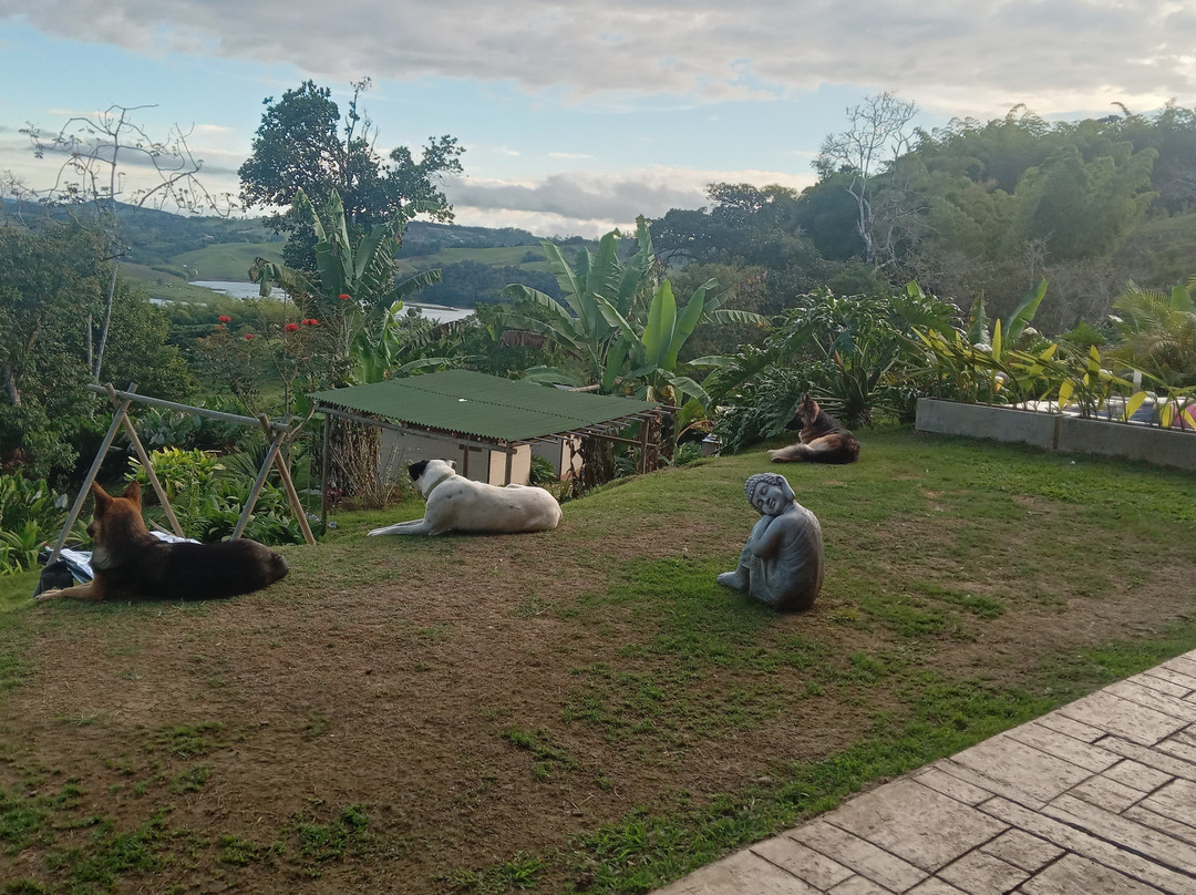 Adama Biohotel