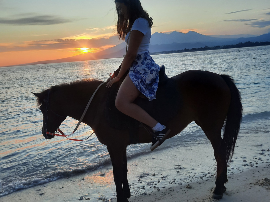 King Stable Horse Riding Tour-Gili Meno必去景点