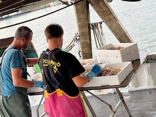 Porto Canale-Porto Garibaldi必去景点