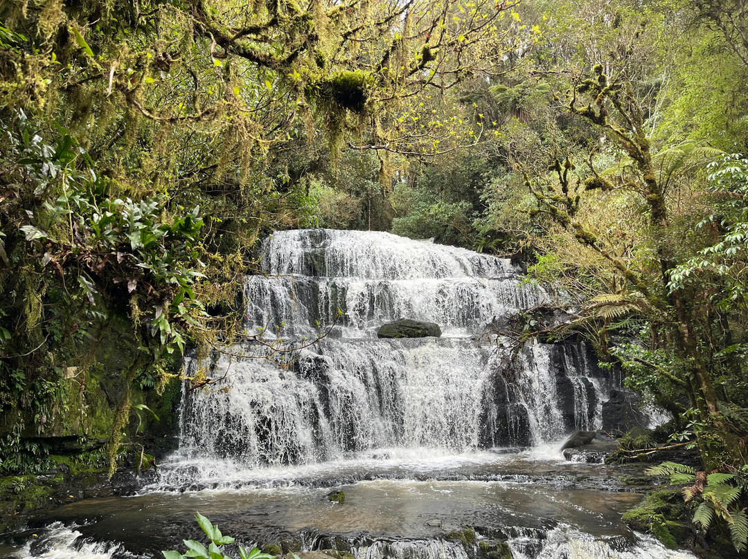 Catlins Tours-奥瓦卡必去景点
