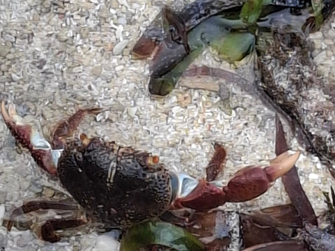 Kenya Safari-瓦塔木必去景点