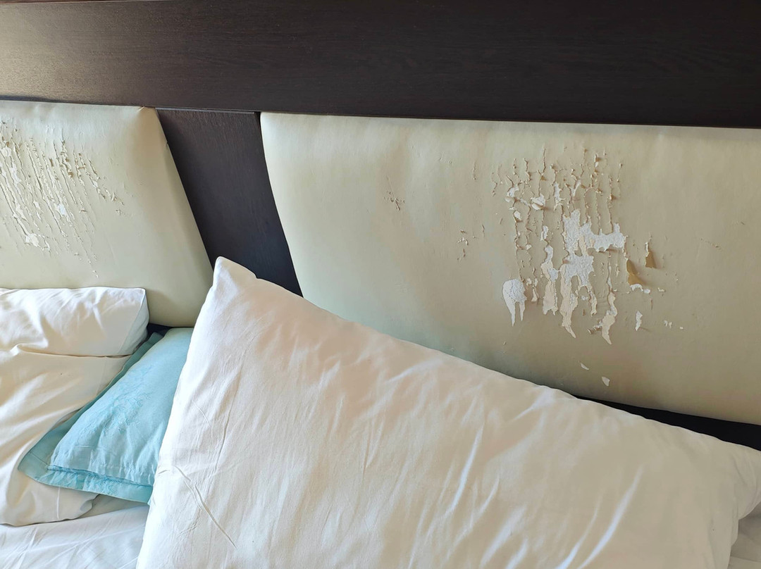 Hotel Belvedere主图