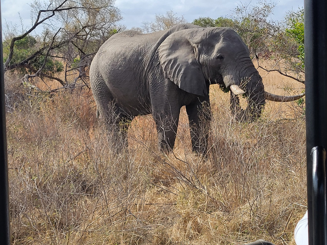 Legend Safaris-克鲁格国家公园必去景点