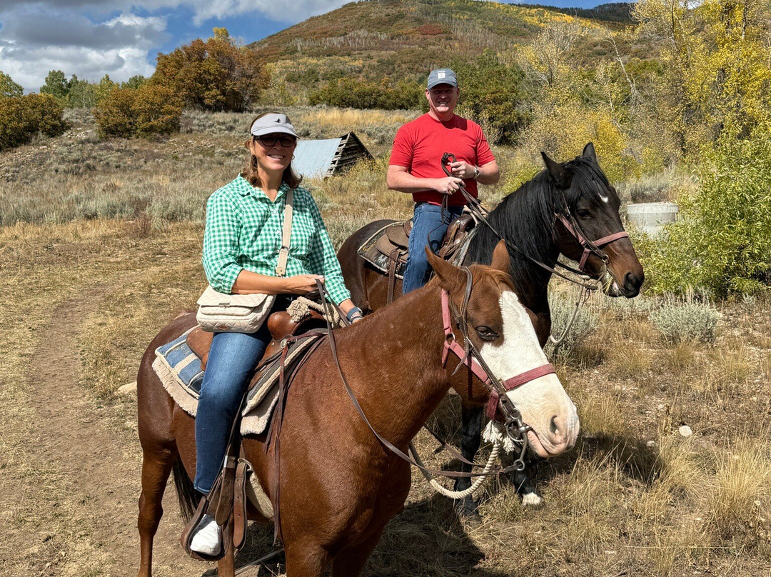 North Forty Escapes-Oakley必去景点