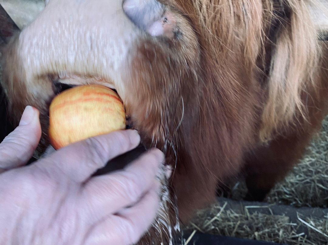 Colready Highlands-Brackley必去景点