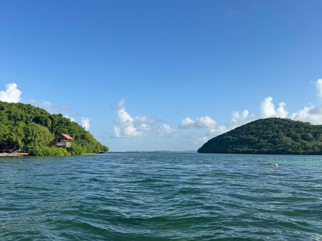 Matt'Excursions Nautiques-Le Francois必去景点